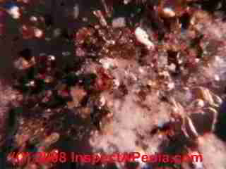 Paint lab Photograph of sample of failed paint